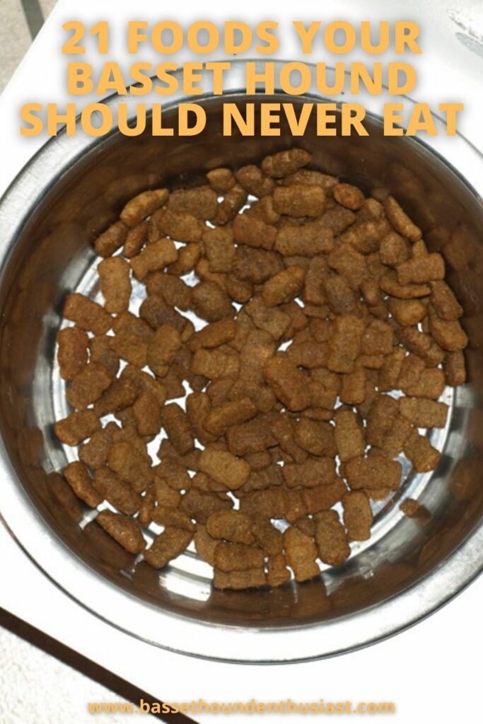 Basset Hound Foods Archives Basset Hound Enthusiast