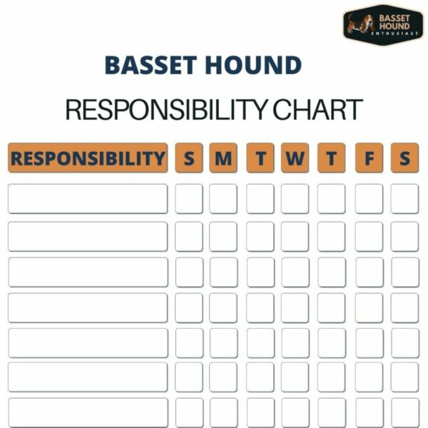 Assigning Dog Duties By Age Basset hounds