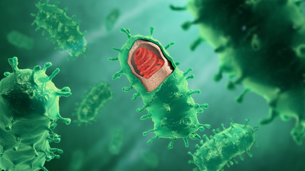 Rabies virus structure