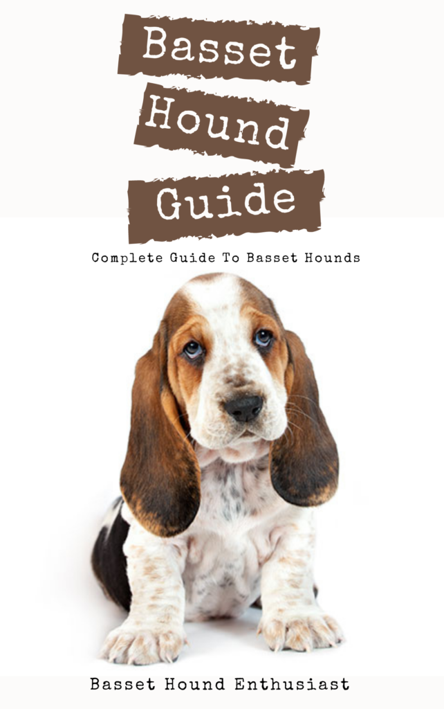 Basset Hound Guide eBook 1