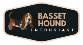 Basset Hound Enthusiast Logo